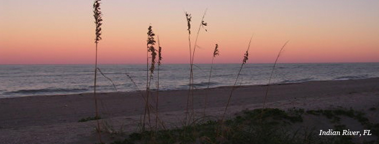 indian river home care