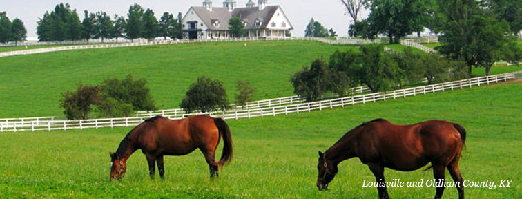 louisville home care