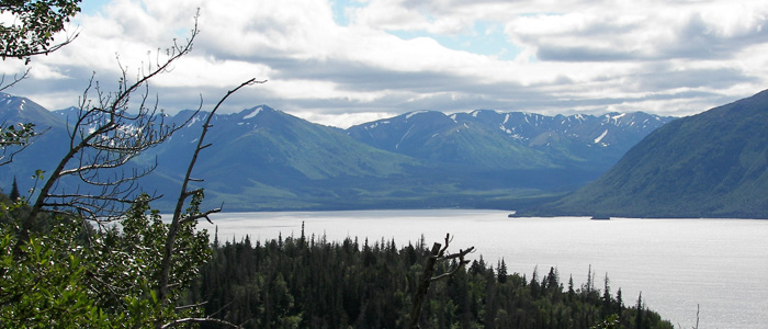 Home-care-Alaska-Suzanne_Hickel