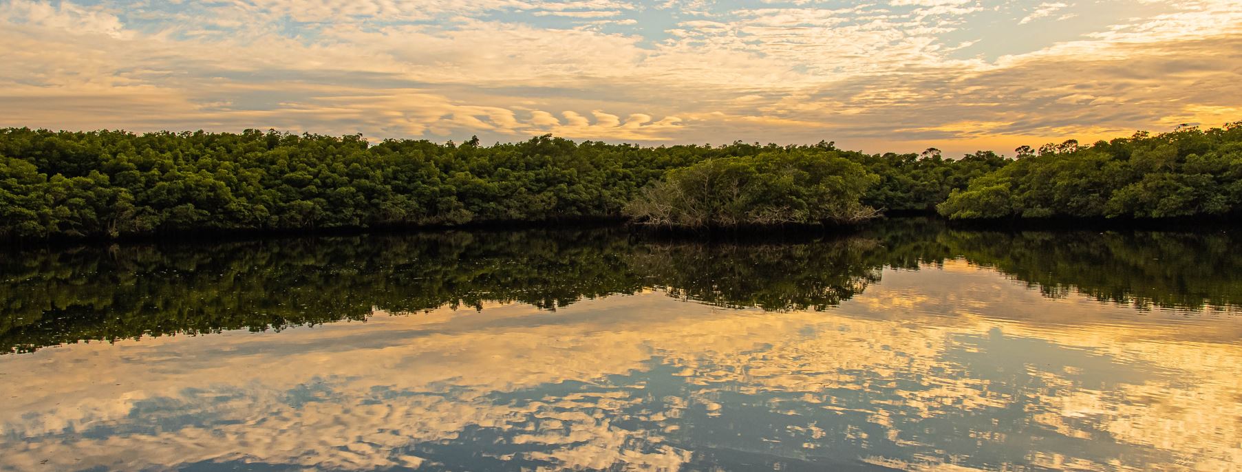 A stunning sunset over Loxahatchee water, framed by trees and clouds, creating a serene and picturesque scene.