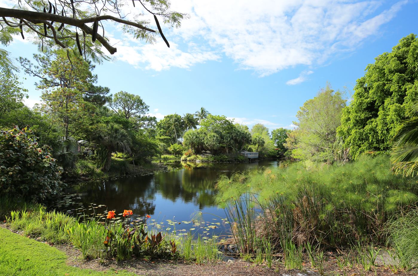 A serene pond surrounded by lush trees and grass in Palm Beach, reflecting the natural beauty of the area.