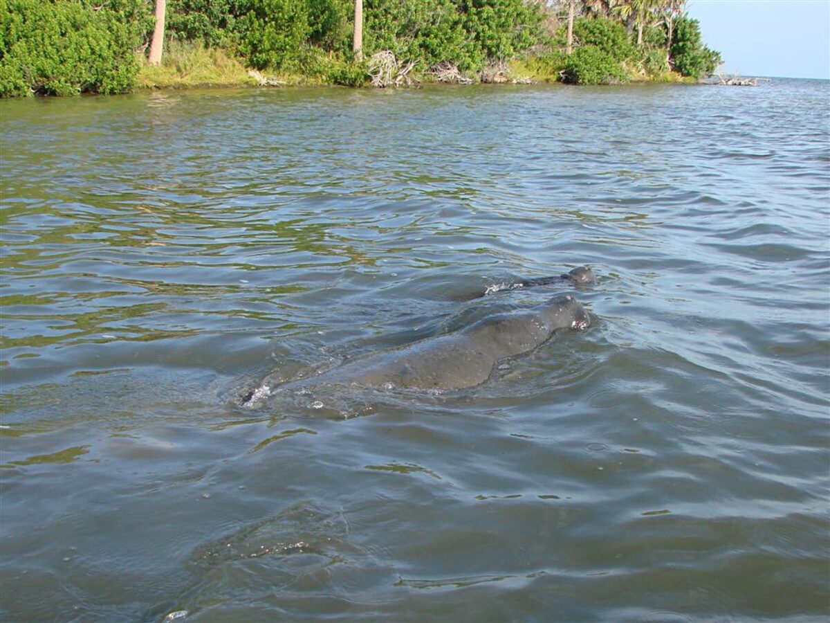 Edgewater, Florida