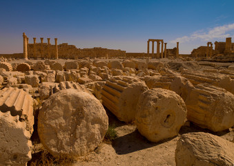 Palmyra