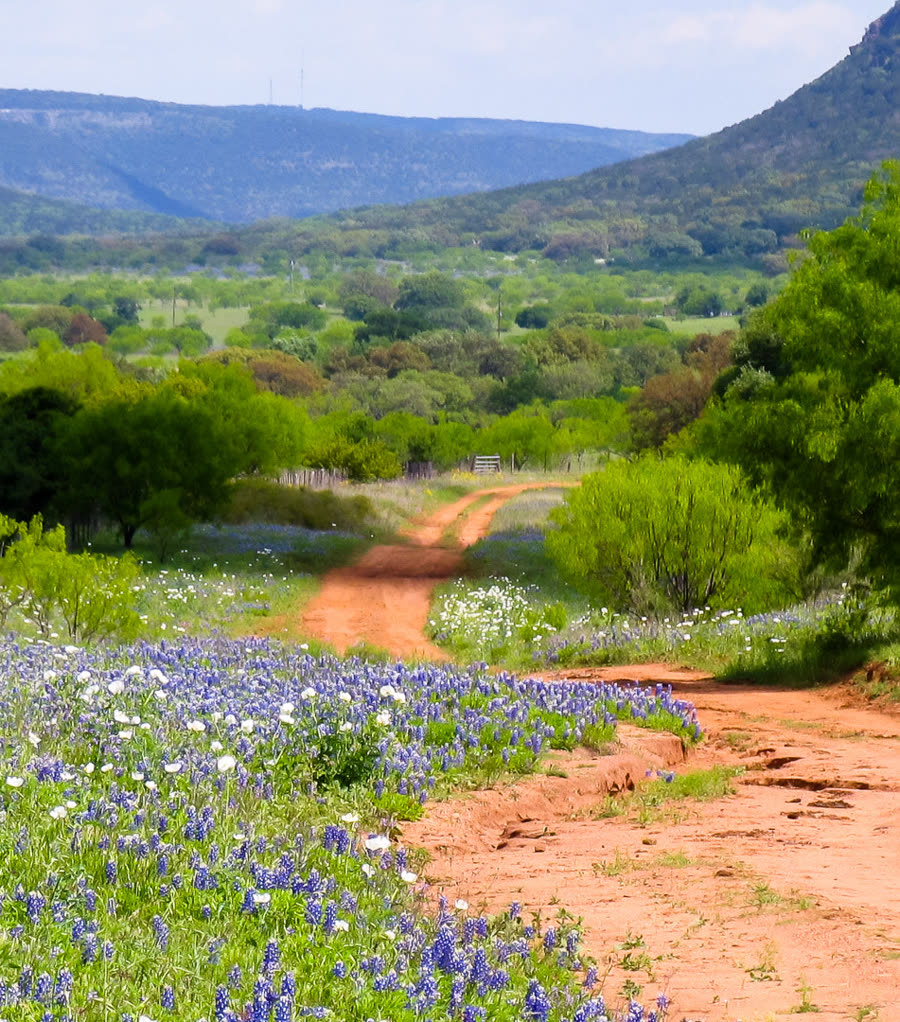 Stone Oak – in-home senior care service area of Preferred Care at Home of San Antonio North