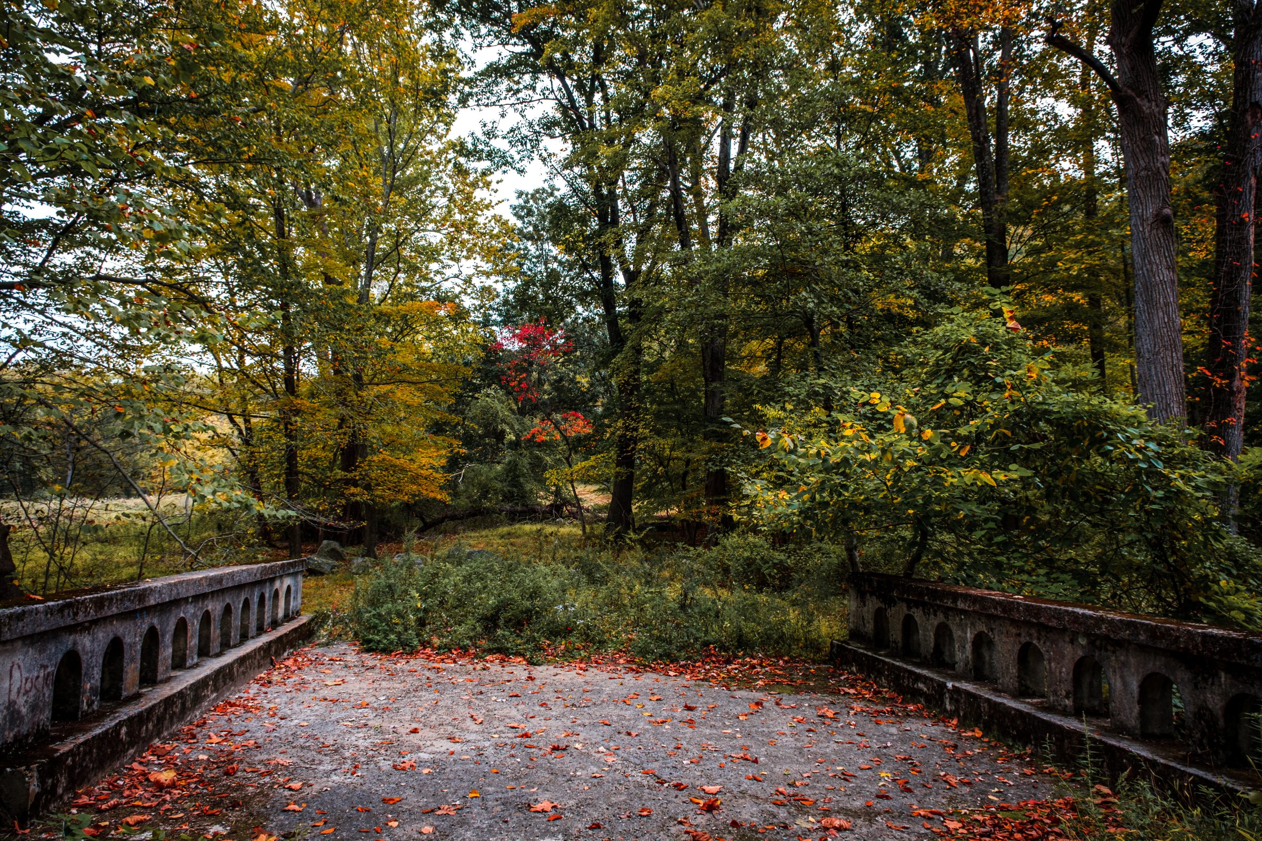 Bridge in Rockefeller State Park ending in brush