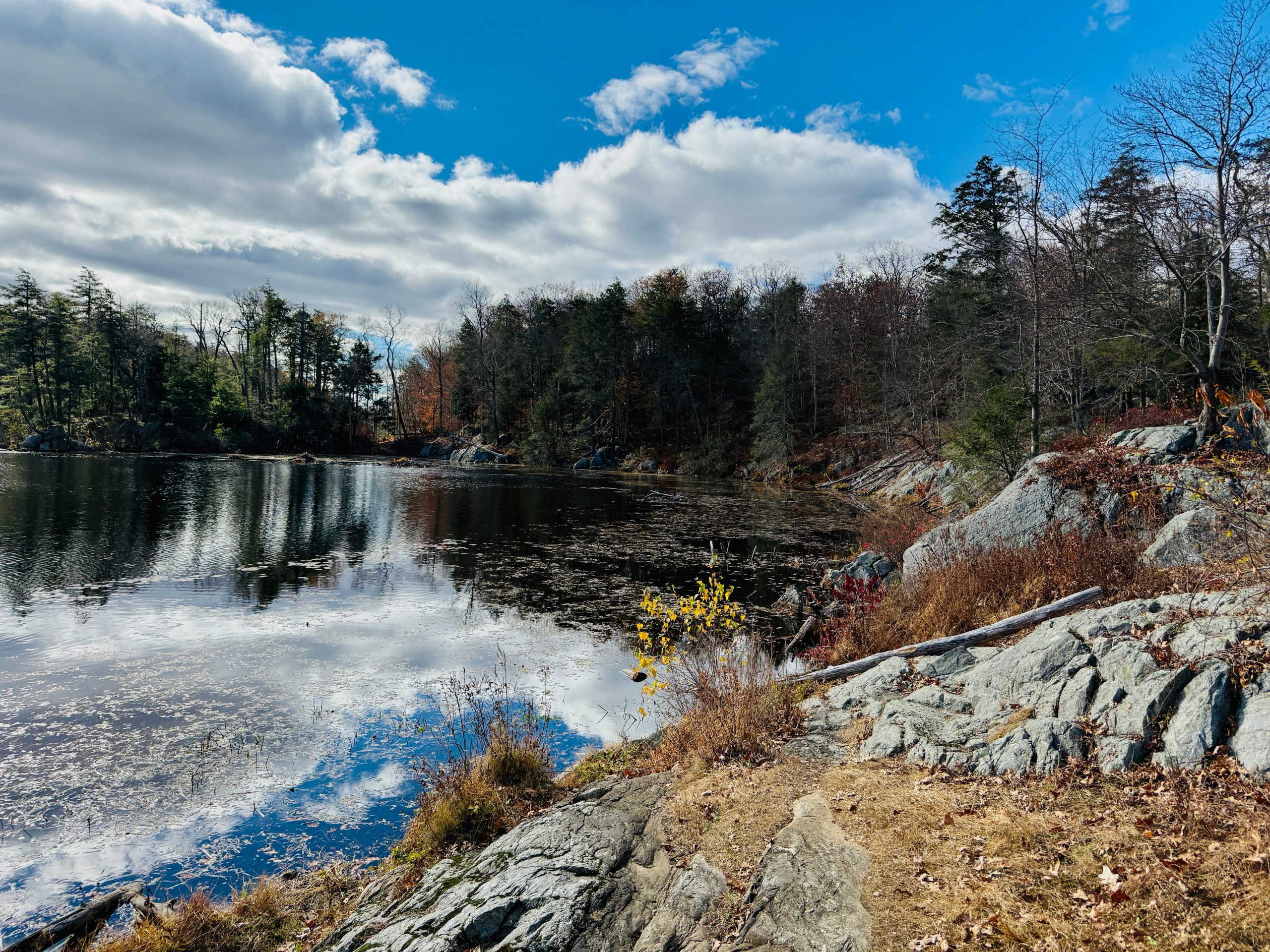 Pelton Pond at Fahnestock State Park in NY on an unseasonably mild day in the fall. Autumn colors and foliage bring a color palette of red, orange and yellow to the typical green landscape by the pond