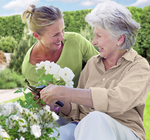 An image of a caregiver helping an elder with daily tasks in a Senior Home Care facility in Wildwood, Florida.