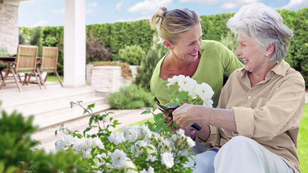 An image of a caregiver helping an elder with daily tasks in a Senior Home Care facility in South Tampa, Florida.