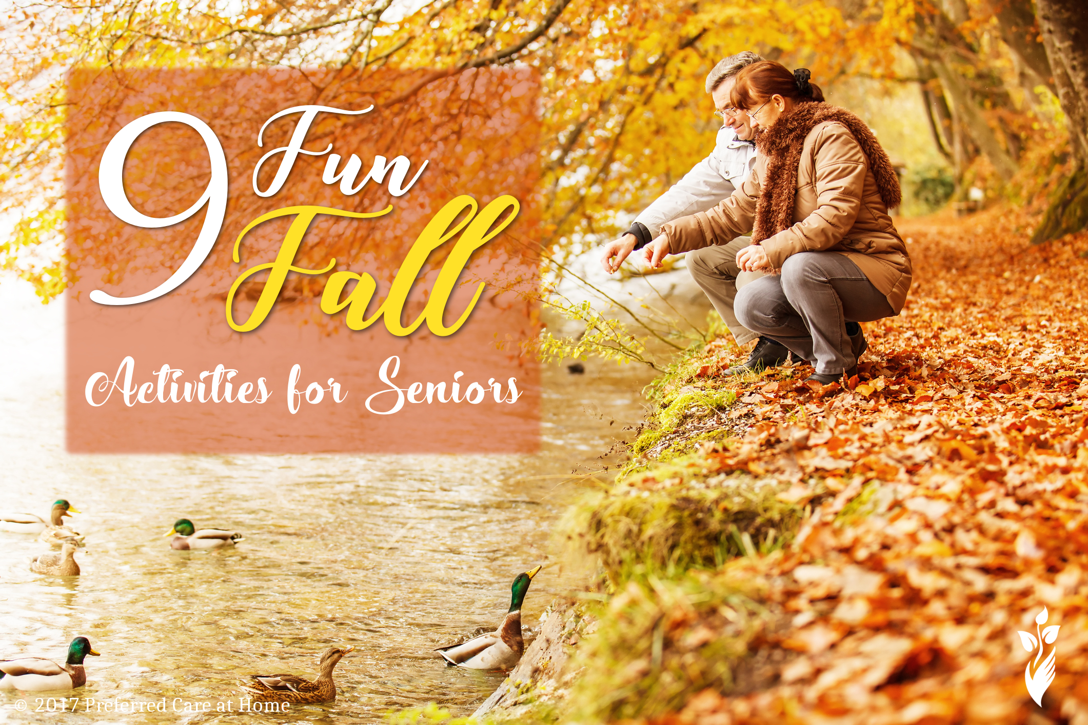9 Fun Fall Activities for Seniors 9 Fun Fall Activities for Seniors